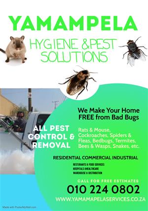 Unbeatable prices and the best Hygiene and Pest control services 