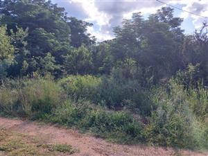 BEAUTIFUL STAND FOR SALE IN OLIFANTSNEK – PEACEFUL NATURE SETTING.