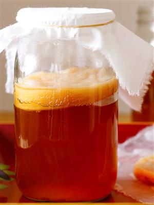 Kombucha scoby and starter tea