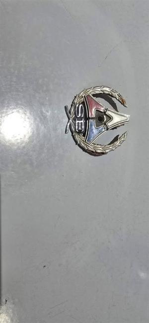 Doge 1970-71 Challenger SE Emblem.