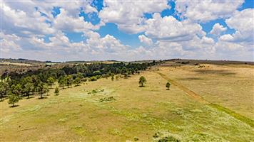 Exclusive 251ha Farmland Opportunity: Create a Lifestyle Estate or a sustainable farming operation.