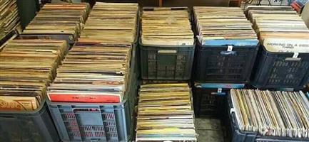 LP's Vinyl Records