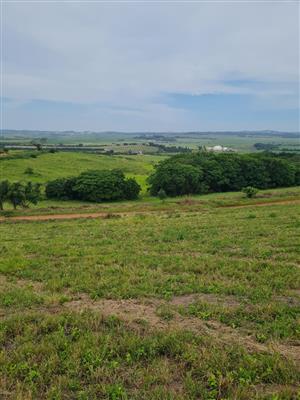 Helmsley Country Estate – Modern Country Living on the North Coast