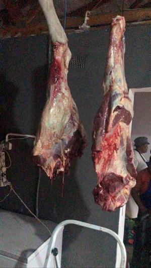 Services for hire Mobile fridge Mobile 