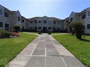 Apartment Rental Monthly in Rosebank