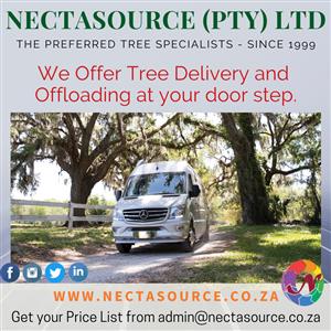 Tree delivery to your doorstep
