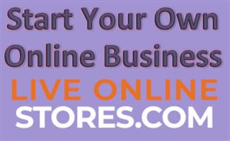 Own your own business in 24 Hours - E commerce 