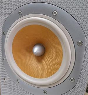 Wanted - B&W DM602 S3 bass driver