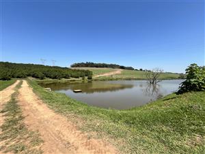 HELMSLEY COUNTRY ESTATE – NATURE | FAMILY | COUNTRY