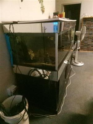 1,5 metre fish tank