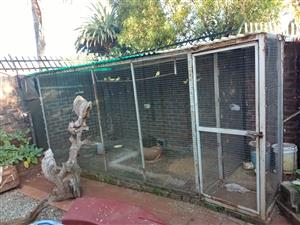 Big bird aviary for sale with nests and feeders .