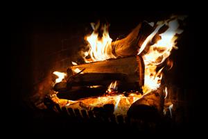 Sekelbos wood delivered at low prices