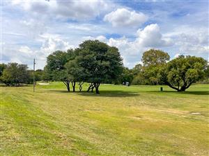 Fairway stand - worth viewing!