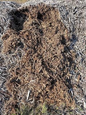 Wood chip for sale