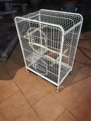 Bird cage for african grey