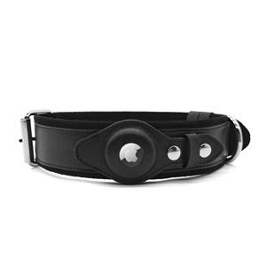 Dog and Cat Collars