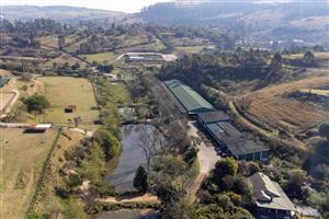 Exceptional Equestrian Property with High Income Returns
