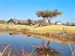 Secret Listing only per Appointment -Experience the Bushveld with this Prime House