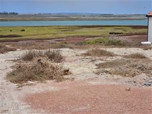 Build Your Dream on Exclusive Admiral Island