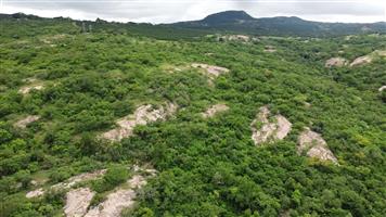 Pristine mountainous bush - Vacant Land