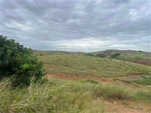 PRECINCT A – THE DUNES – SEATON ESTATE - LIVE YOUR BEST LIFE