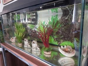 Fish tank and stand