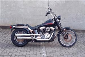 Well Looked After Harley Davidson Springer!
