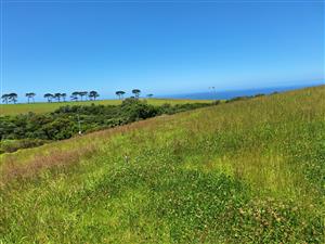 Scenic Ocean and Mountain View with Plot and Plan in Le Grand Estate