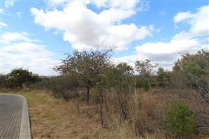 THIS 1350 SQ METER STAND ON THE AMAZING KORO CREEK GOLF ESTATE COULD BE YOURS.