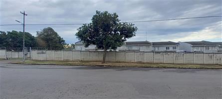 ON SHOW - SUNDAY 23 NOVEMBER - 2pm TO 4pm