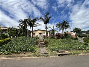 A standout Northdale home, where modern comfort meets endless possibility in Northdale!!!