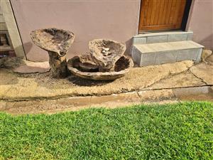 Water fountain