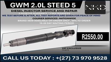 GWM 2.0L STEED 5 Diesel Injectors 
