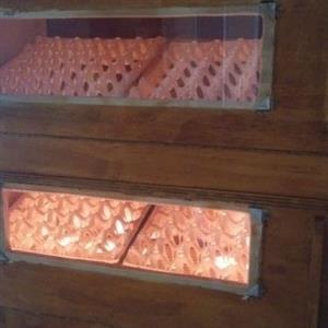 240 egg bed semi automatic, full electronical  direct from factory. no need to turn eggs with hands.