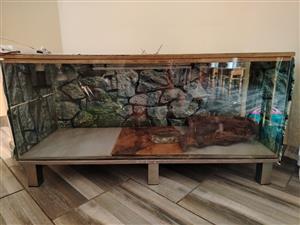 Reptile set up 