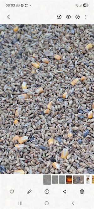 Feedmix Cattle sheep goats pigs