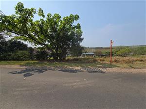 Exclusive 800sqm Vacant Stand in Palm Lakes Estate