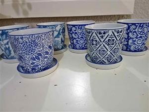 STUNNING collection of BLUE & WHITE PLANTERS 