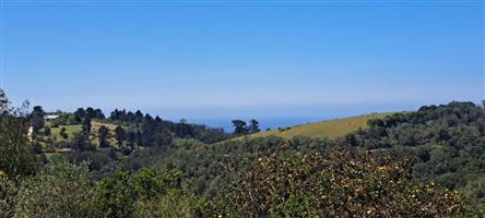 Vacant Land Residential For Sale in Hoekwil