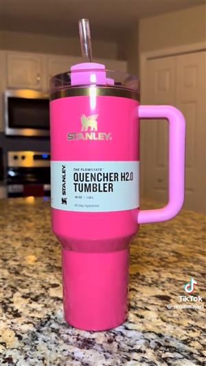 Stanley Cups 40oz Pink Parade 