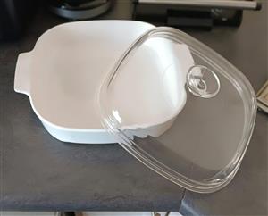 Microwave Dish