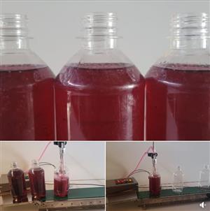 Fully automatic filling machine Including conv