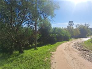 Spacious Plot in Peaceful Tesselaarsdal – 2,497m²