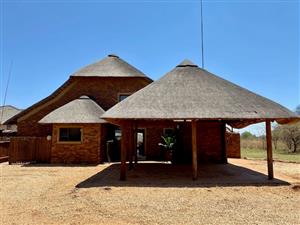 African Wonder - 2 bed, 2 bath