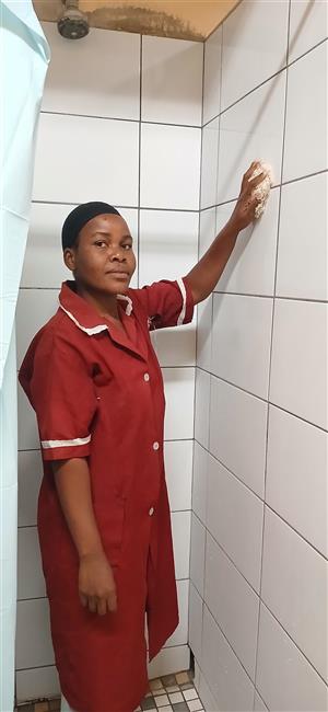 Domestic Nanny work 