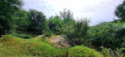 River Front Stand in Elephant Rock Eco Estate