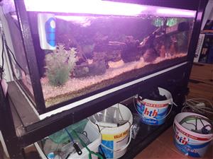 Tropical  fish tank for sale