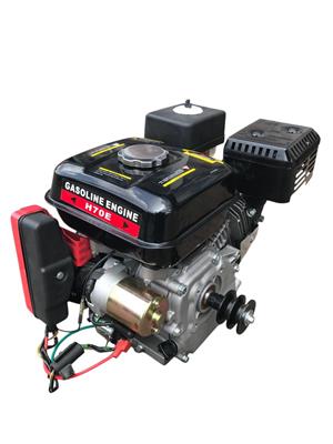 Petrol Engine 7hp En