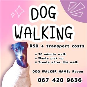 Dog Walker in Pretoria North