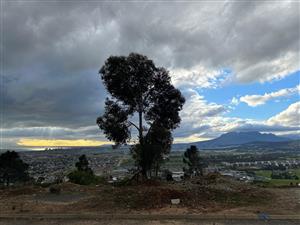 This decent size plot is for sale in the highest street of Mountainside Estate.